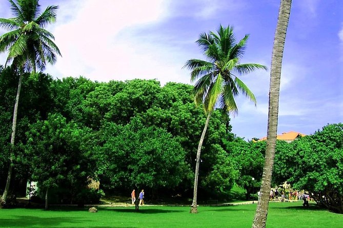 Bacardi Island (Cayo Levantado) Day Pass - Lunch and Drinks