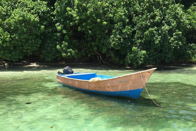 Bacardi Island (Cayo Levantado) Day Pass - Booking and Cancellation