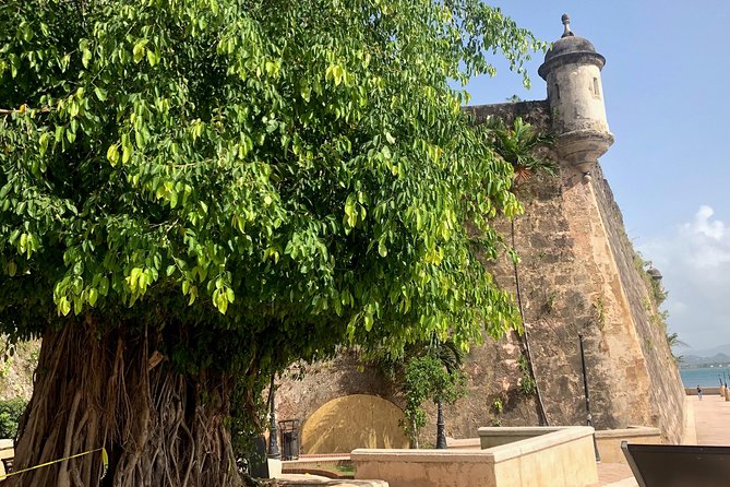 Bacardi Rum Distillery and Old San Juan Tour - Positive Aspects of the Tour