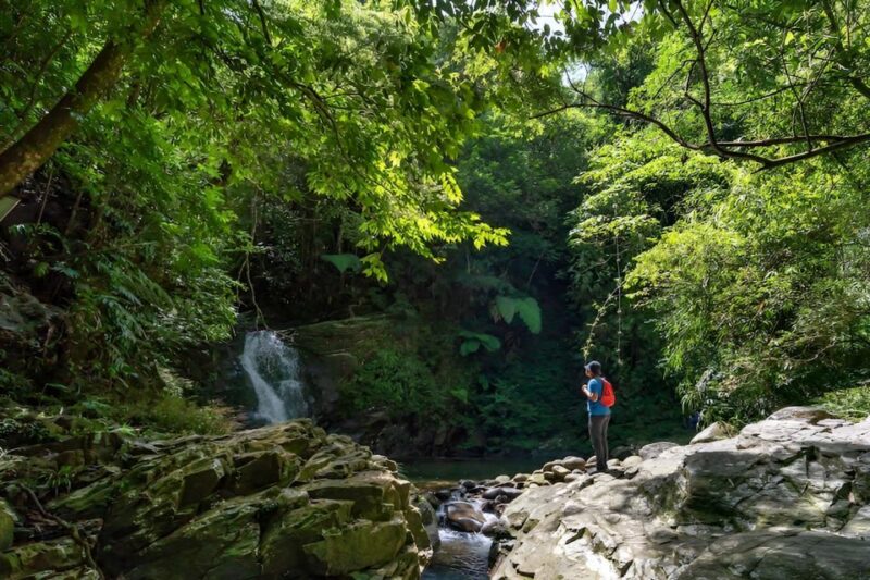 Bach Ma Mountain: Full Day Trekking From Hue (Group Tour) - Key Points