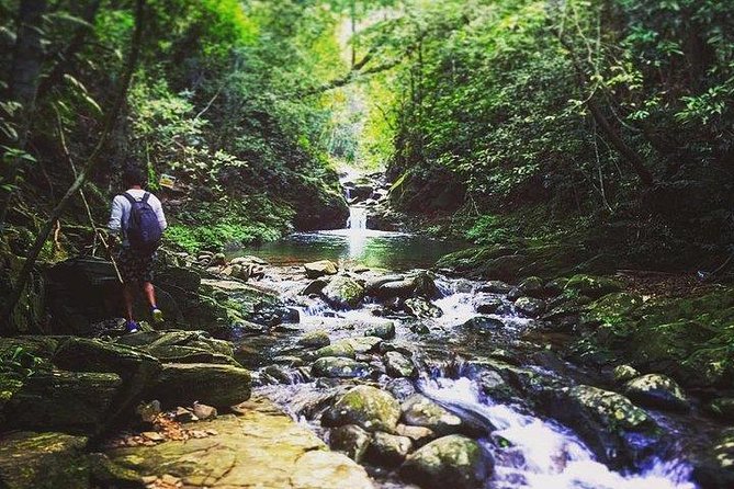Bach Ma National Park 2-Day Trekking Private Tour - Tour Overview