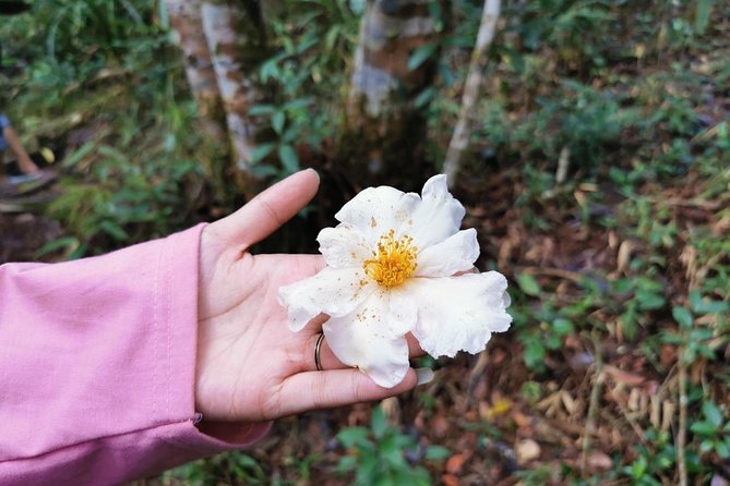 Bach Ma National Park Tour From Hue City - Meeting and Pickup