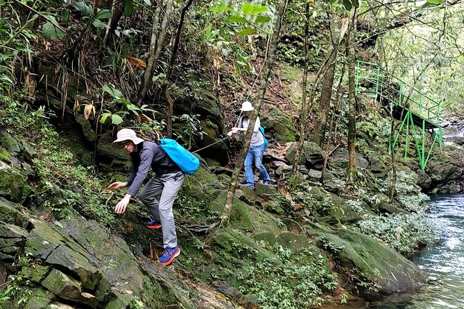 Bach Ma National Park Trekking Daily Tour From Da Nang, Hoi an - Traveler Reviews and Feedback