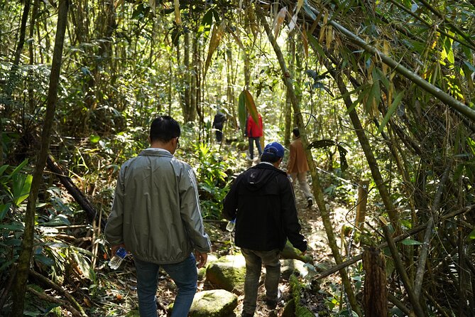 Bach Ma National Park Trekking Daily Tour From Da Nang, Hoi an - Trekking Route and Destinations