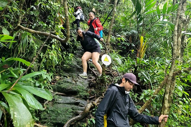 Bach Ma National Park Trekking Daily Tour From Hue - Customer Reviews and Feedback