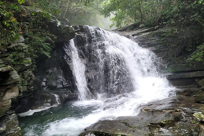 Bach Ma National Park Trekking Daily Tour From Hue - Tour Recommendations