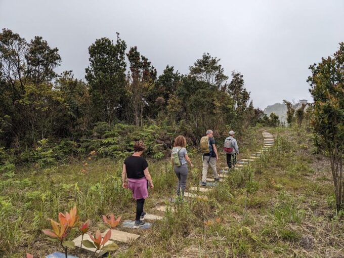 Bach Ma National Park Trekking Tour From Hue/Da Nang/Hoi An - Customer Feedback
