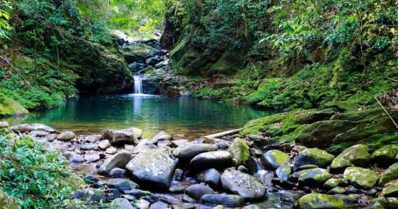 Bach Ma National Park Trekking Tour : Hoi An / Da Nang / Hue - Key Points