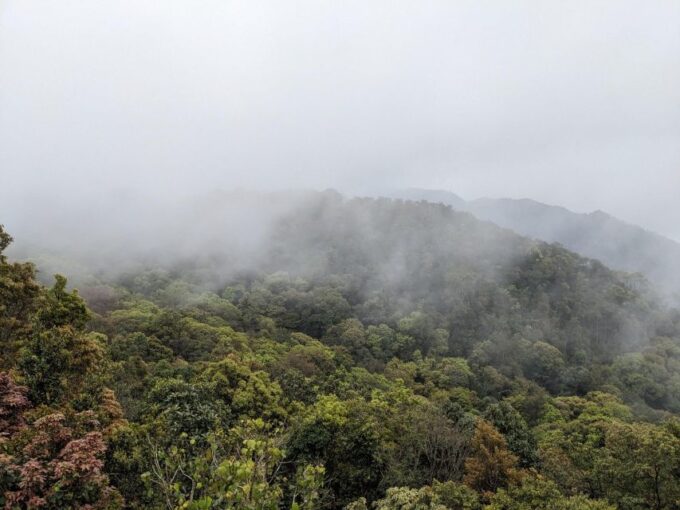 Bach Ma National Park Trekking Tour : Hoi An / Da Nang / Hue - Suitability