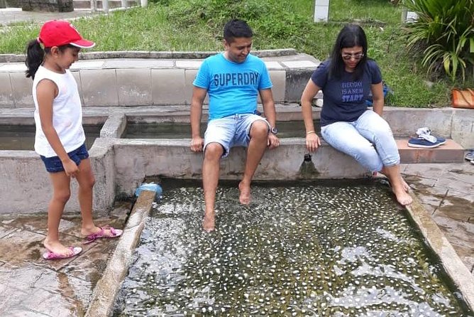 Back to Nature Tour - Templers Park, Hot Spring & Batu Caves - Inclusions