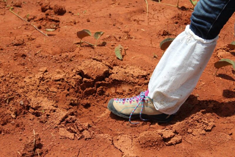 Back to Nature Trekking and Hiking at Khao Yai National Park - Trekking and Hiking Activities