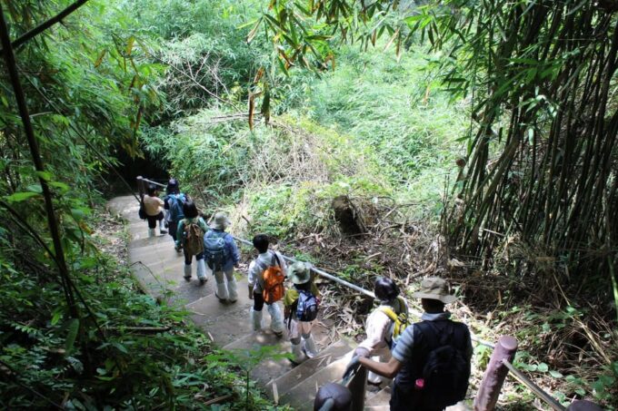 Back to Nature Trekking and Hiking at Khao Yai National Park - Restrictions and Considerations