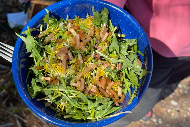 Backcountry Eats & Foraging Treats - Activity Level