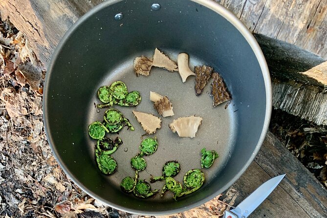 Backcountry Eats & Foraging Treats - Safety Considerations