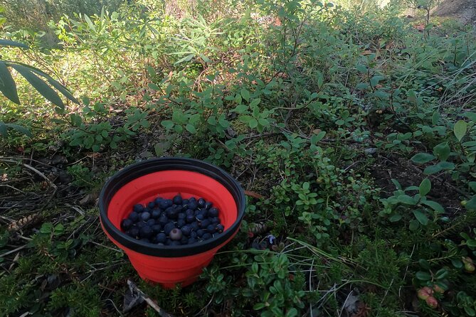 Backcountry Eats & Foraging Treats - Tour Reviews