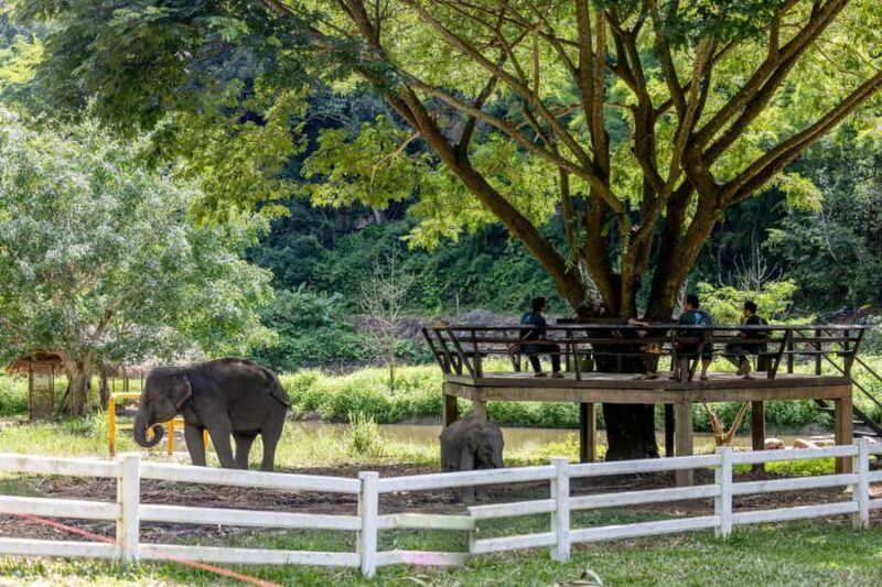 Backcountry Scooter Adventure, Elephants, Cave, scenic views - The Sum Up