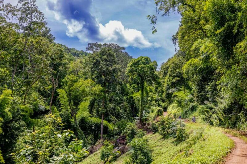 Backcountry Scooter Adventure, Elephants, Cave, scenic views - FAQ