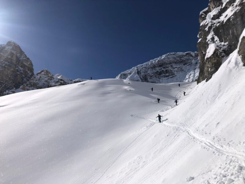 Backcountry Ski/Splitboard: March Radness - Booking Information