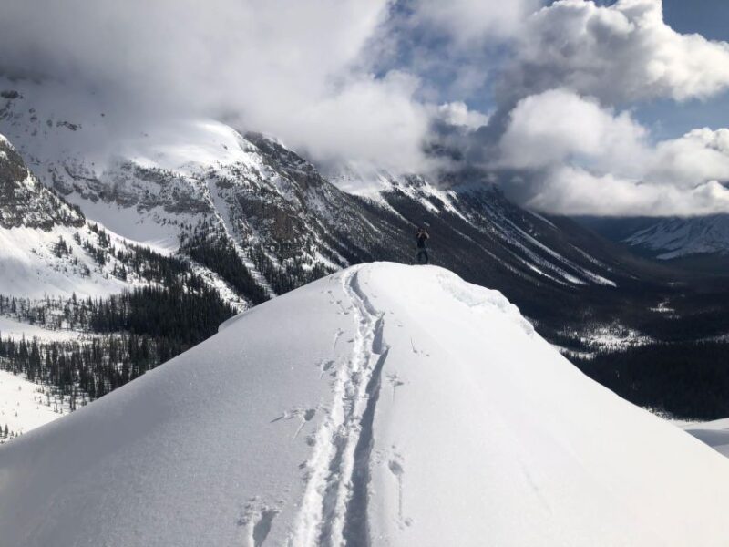Backcountry Ski/Splitboard: March Radness - Guided Experiences