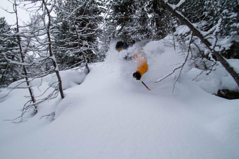 Backcountry Ski/Splitboard: Powder Warrior, February - Target Audience