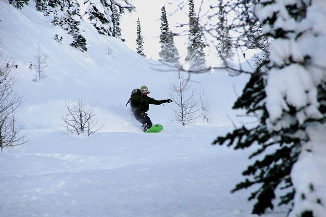Backcountry Skiing in Banff, Canada: Beginner to Intermediate - Understanding Ski Touring Equipment