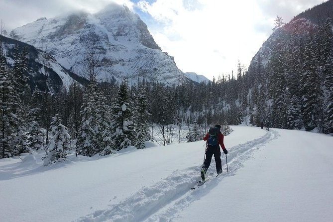 Backcountry Skiing in Banff, Canada: Beginner to Intermediate - Guided Tour Safety Precautions