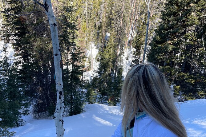 Backcountry Snowshoeing in Pristine Utah Mountains - Customer Reviews and Feedback