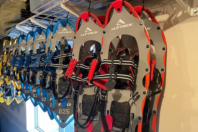 Backcountry Snowshoeing in Pristine Utah Mountains - Highlights and Recommendations