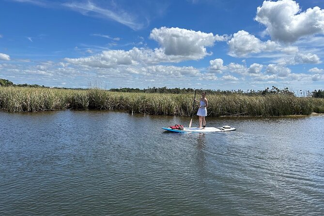 Backland Alligator Electric Paddle Tour - Wildlife Encounters