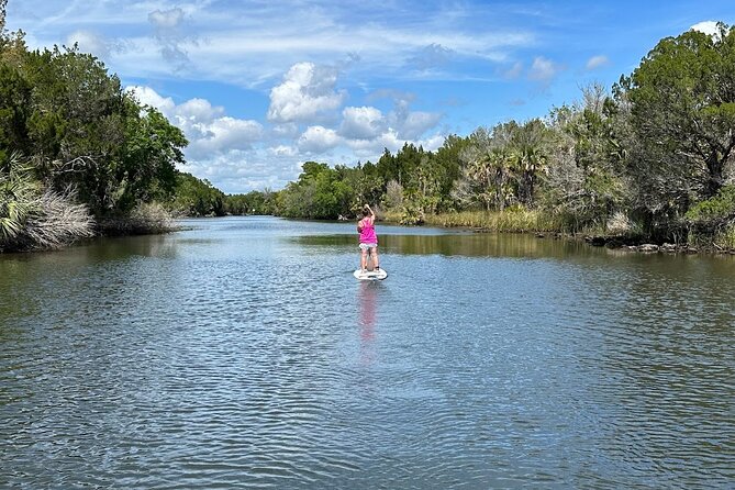 Backland Alligator Electric Paddle Tour - Equipment and Safety
