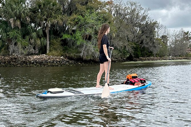 Backland Alligator Electric Paddle Tour - Meeting Point and Time