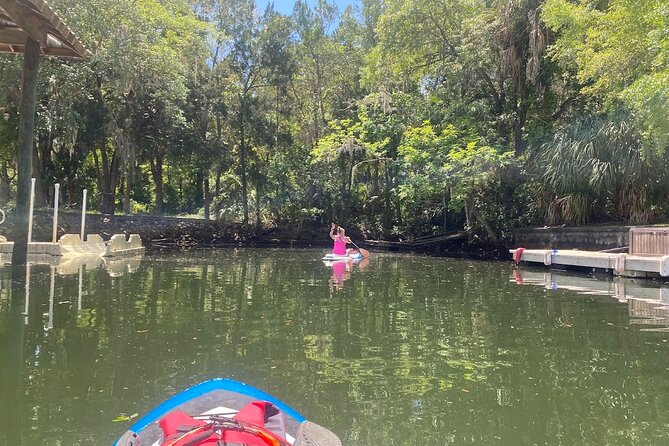 Backland Alligator Electric Paddle Tour - Accessibility Considerations