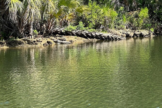 Backland Alligator Electric Paddle Tour - Group Size and Bookings