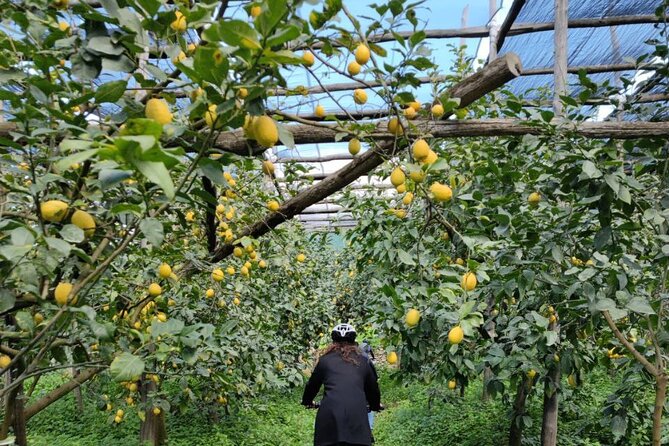 Backroads & Limoncello Experience: Sorrento E-Bike Tour - Limoncello and Lemon Granita