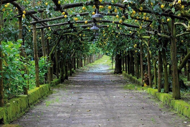 Backroads & Limoncello Experience: Sorrento E-Bike Tour - Booking and Confirmation Process