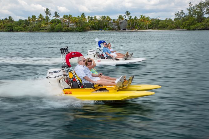 Backwater Adventures CraigCat Tours of the 10,000 Islands - Guided Wildlife Viewing