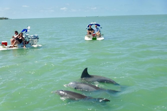 Backwater Adventures CraigCat Tours of the 10,000 Islands - Ecosystem Education