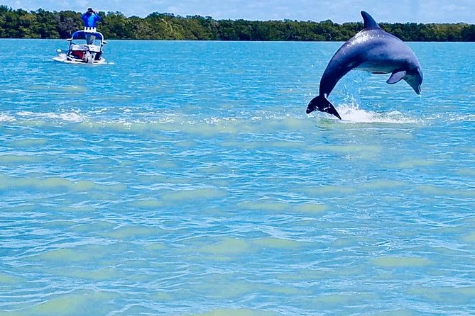 Backwater Adventures CraigCat Tours of the 10,000 Islands - Age and Weight Restrictions
