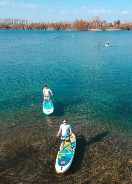Bad Dürkheim: SUP Beginner Course - Certification and Benefits