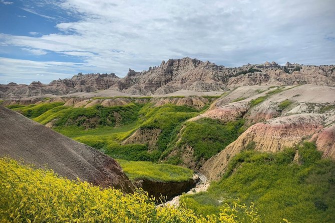 Badlands National Park by Bicycle - Private - Wildlife Viewing Opportunities