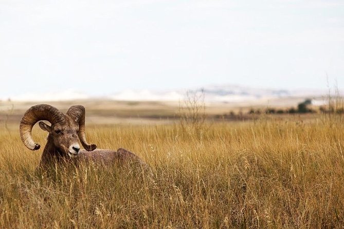 Badlands National Park by Bicycle - Private - Customizable Private Tour