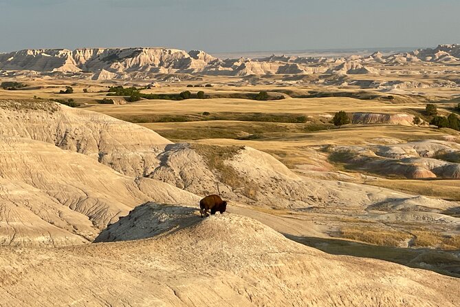 Badlands Sunset and Wildlife Adventure - Customizable Tour Itinerary