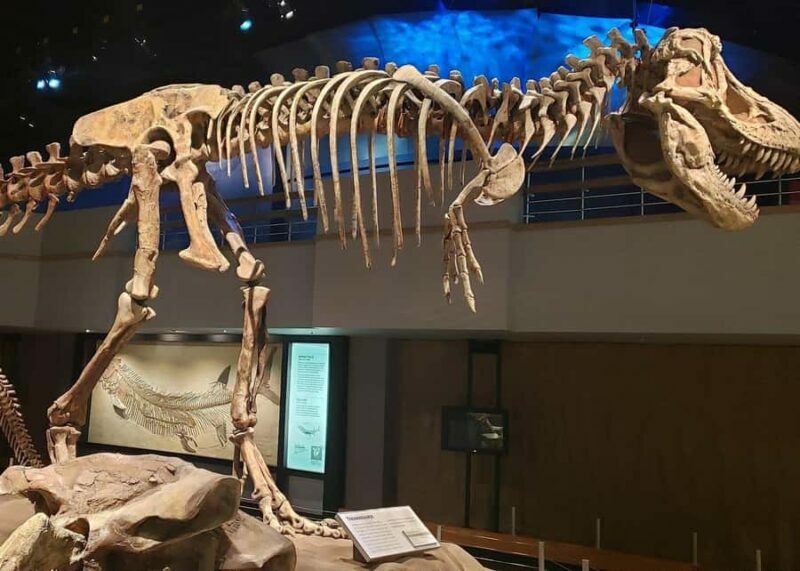 Badlands Tour: Drumheller with Museum, Hoodoos & Dinosaurs - Summary