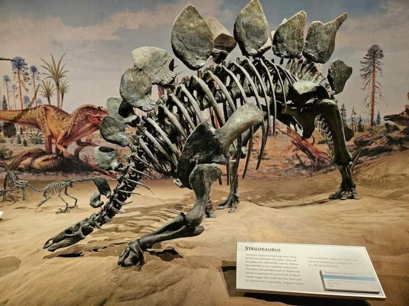 Badlands Tour: Drumheller with Museum, Hoodoos & Dinosaurs - FAQ