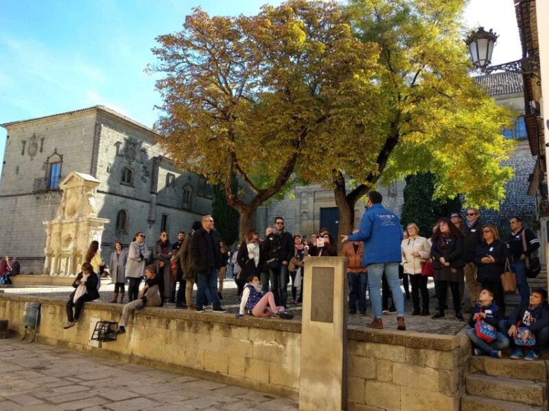 Baeza: 2.5-Hour Guided City Tour in English/French - Frequently Asked Questions