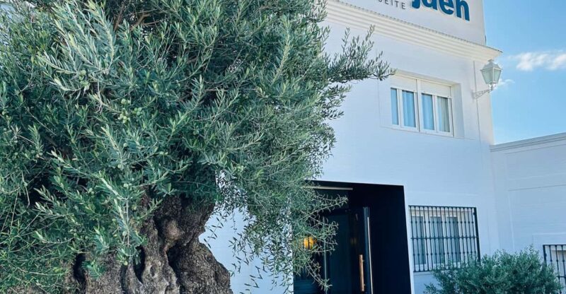 Baeza: Extra Virgin Olive Oil Tour and Tasting at AOVELAND - Key Points
