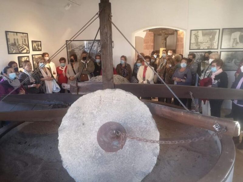 Baeza: Oil Tourism at Hacienda La Laguna - Explore Olive Oil Culture