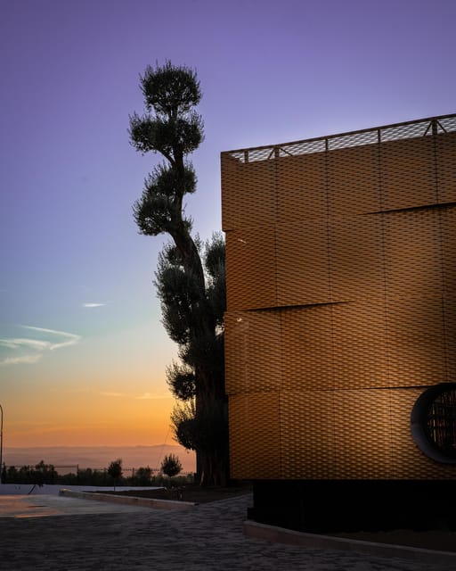 Baeza: Olive Oil Mill & Tasting at AOVEland - Important Information