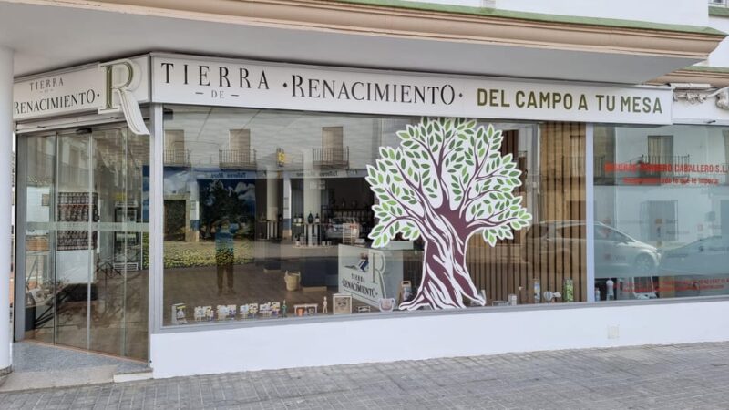 Baeza: Visit to an Ecological Olive Grove + Olive Oil Tasting - Tour Details