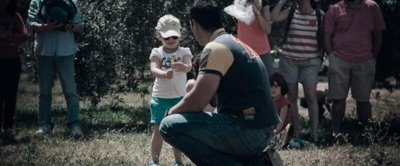 Baeza: Visit to an Ecological Olive Grove + Olive Oil Tasting - Tasting Experience